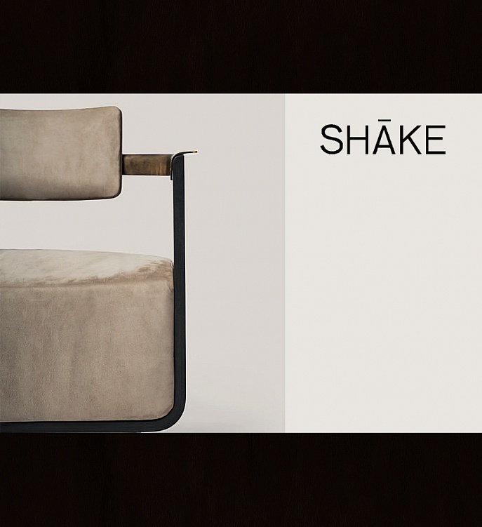 Кресло Boston коллекция SHAKE Фото N3